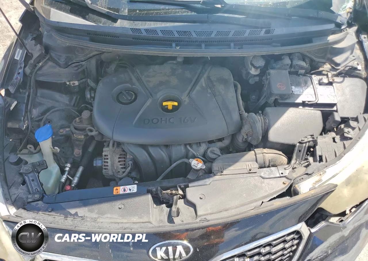 2014 Kia Forte Lx VIN:KNAFX4A65E5253032 - 11