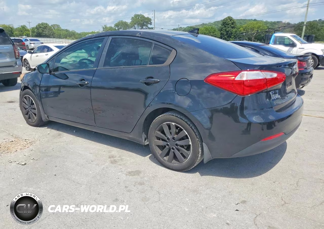 2014 Kia Forte Lx VIN:KNAFX4A65E5253032 - 2