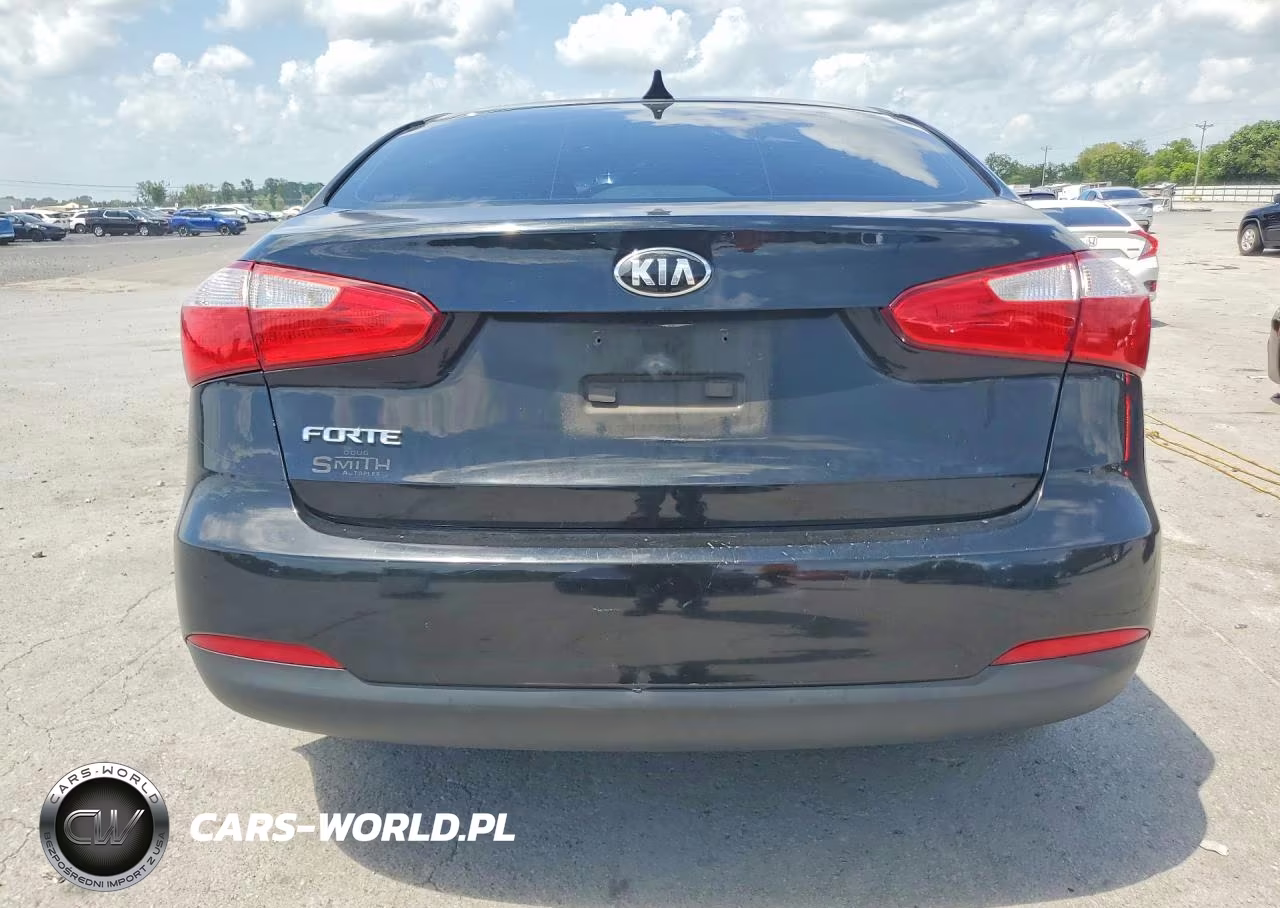 2014 Kia Forte Lx VIN:KNAFX4A65E5253032 - 6