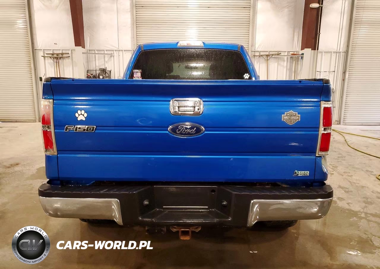 2010 Ford F150 Supercrew VIN:1FTFW1EVXAFD66775 - 6