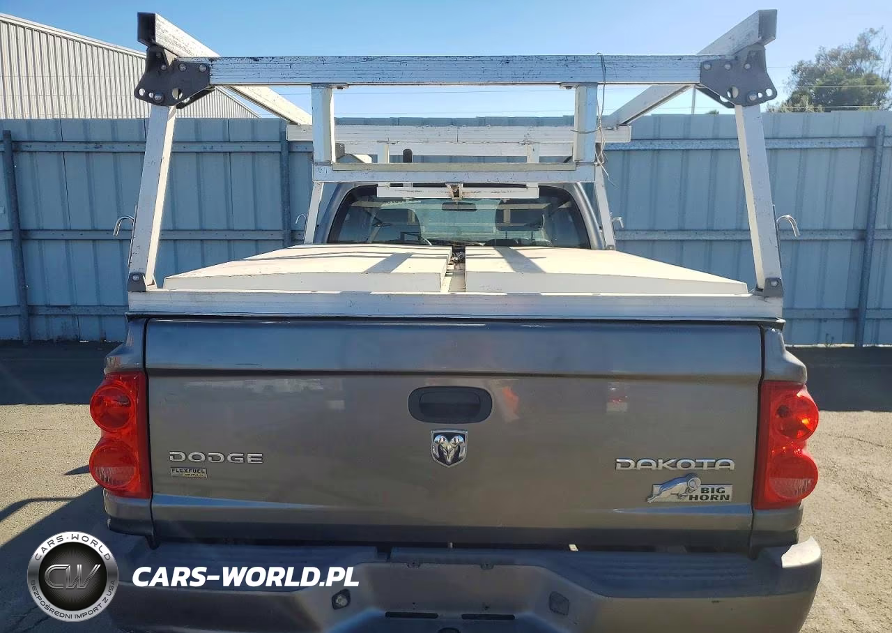 2011 Dodge Dakota Slt VIN:1D7RE3BP0BS646267 - 10