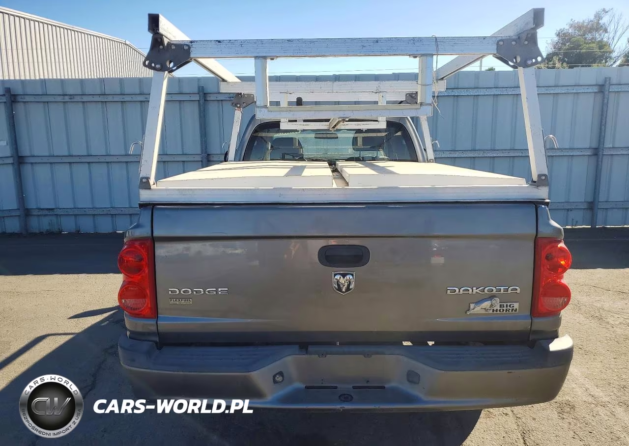 2011 Dodge Dakota Slt VIN:1D7RE3BP0BS646267 - 6