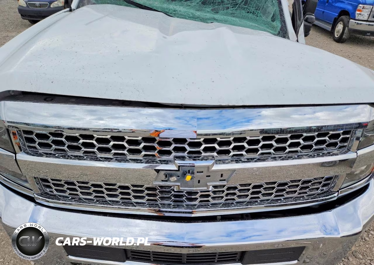 2019 Chevrolet Silverado K2500 Heavy Duty VIN:2GC2KREG2K1240025 - 11