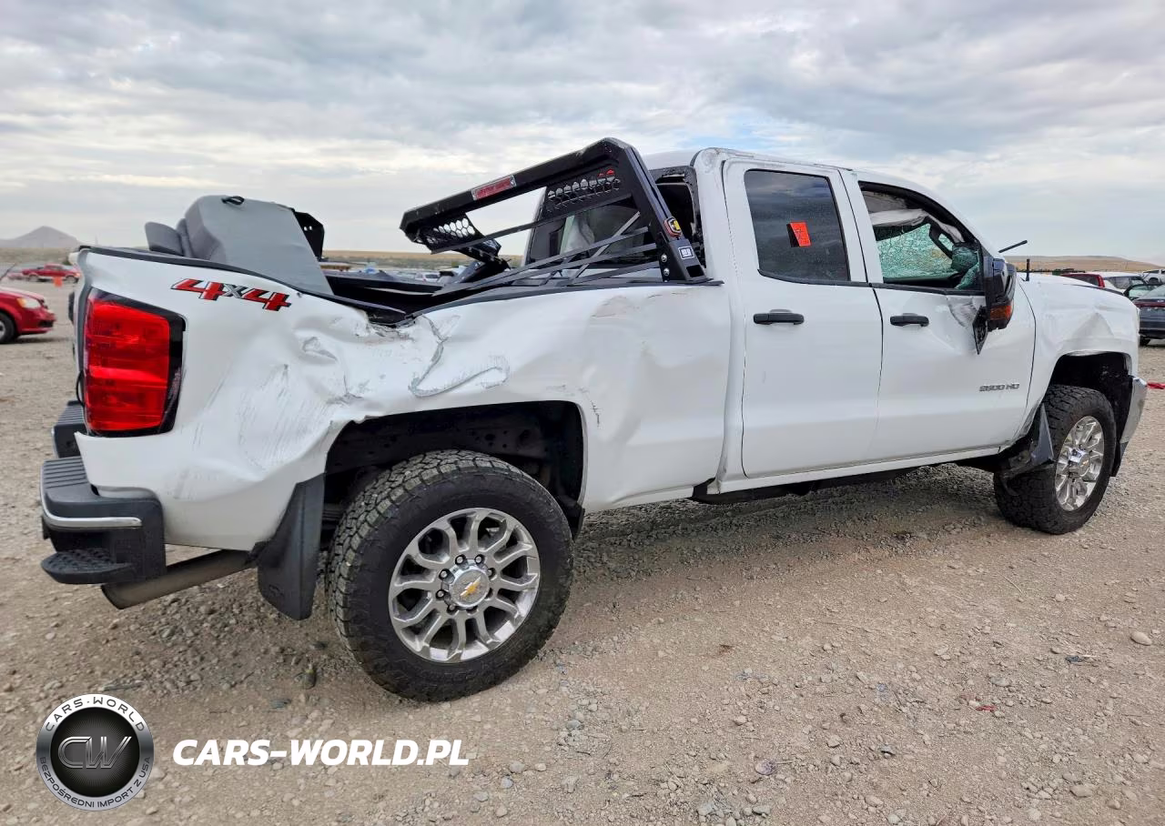 2019 Chevrolet Silverado K2500 Heavy Duty VIN:2GC2KREG2K1240025 - 3
