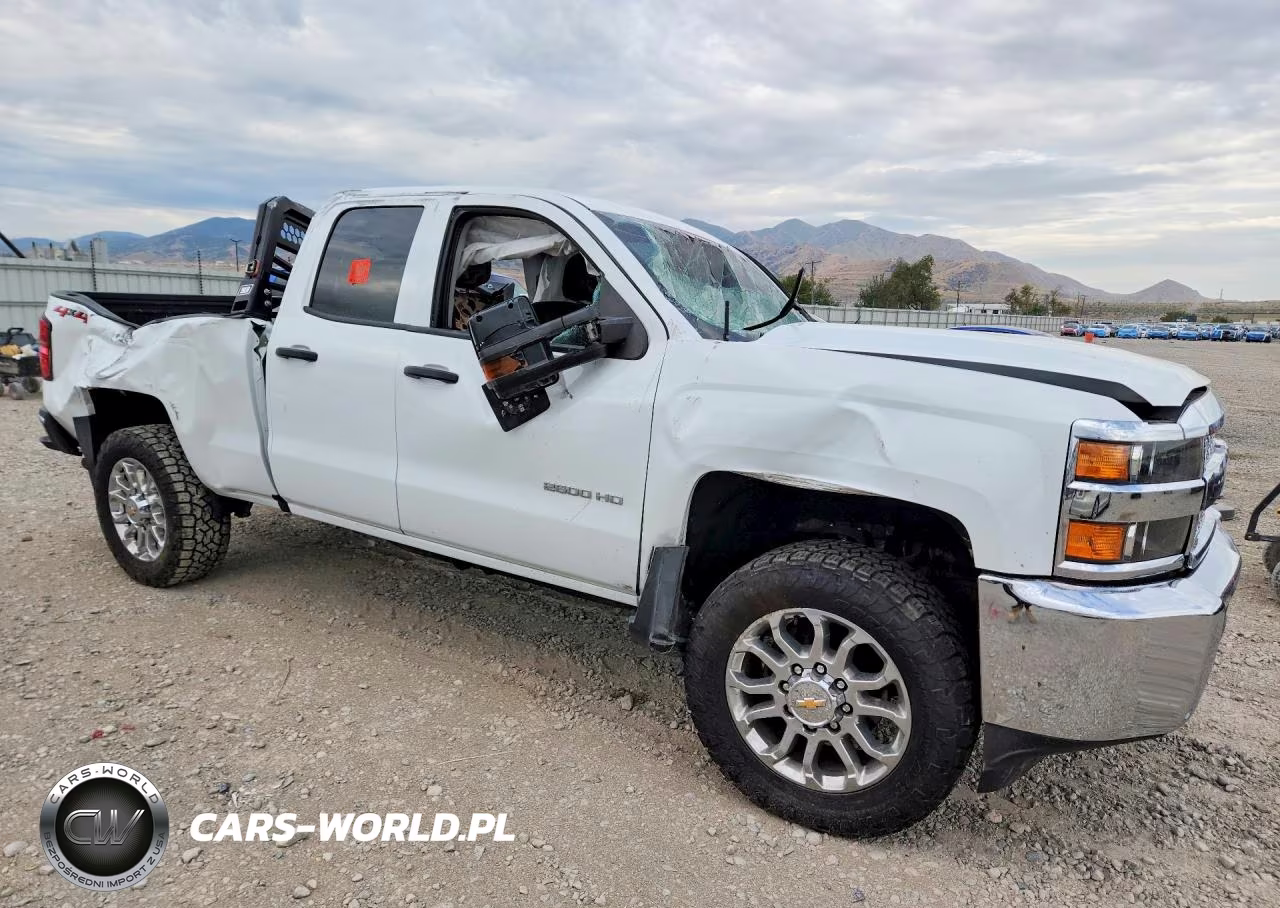 2019 Chevrolet Silverado K2500 Heavy Duty VIN:2GC2KREG2K1240025 - 4