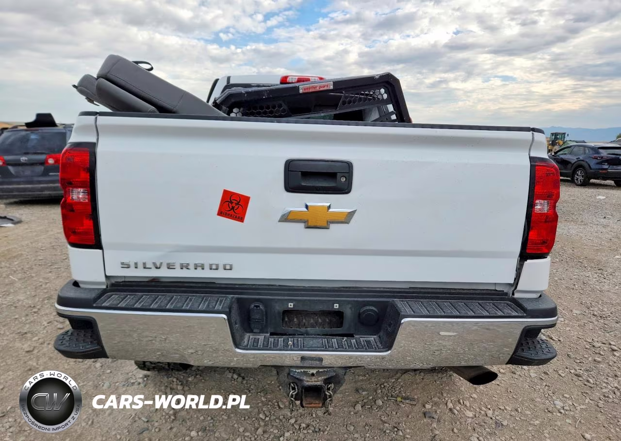 2019 Chevrolet Silverado K2500 Heavy Duty VIN:2GC2KREG2K1240025 - 6