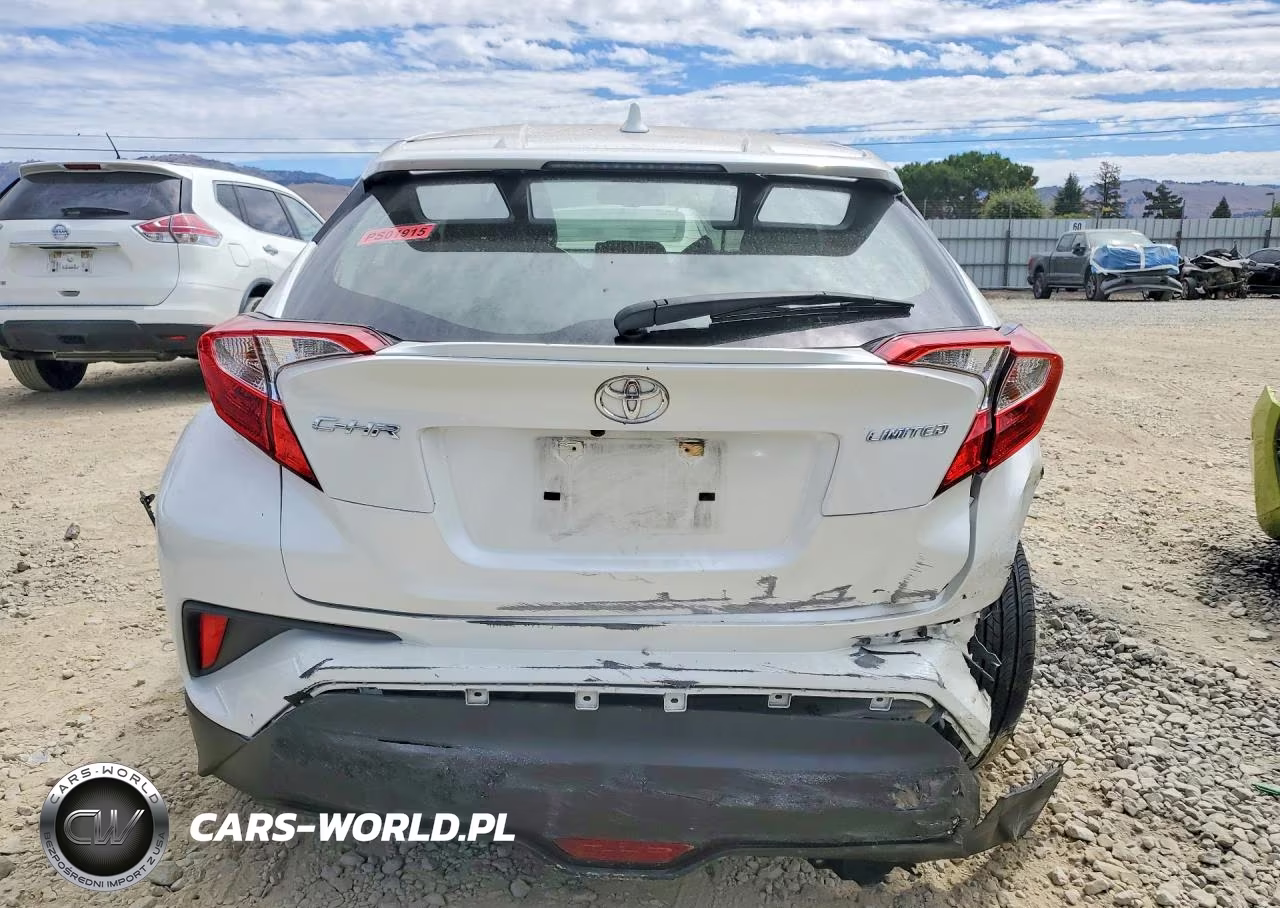 2019 Toyota C-Hr Limited VIN:JTNKHMBX7K1062300 - 6