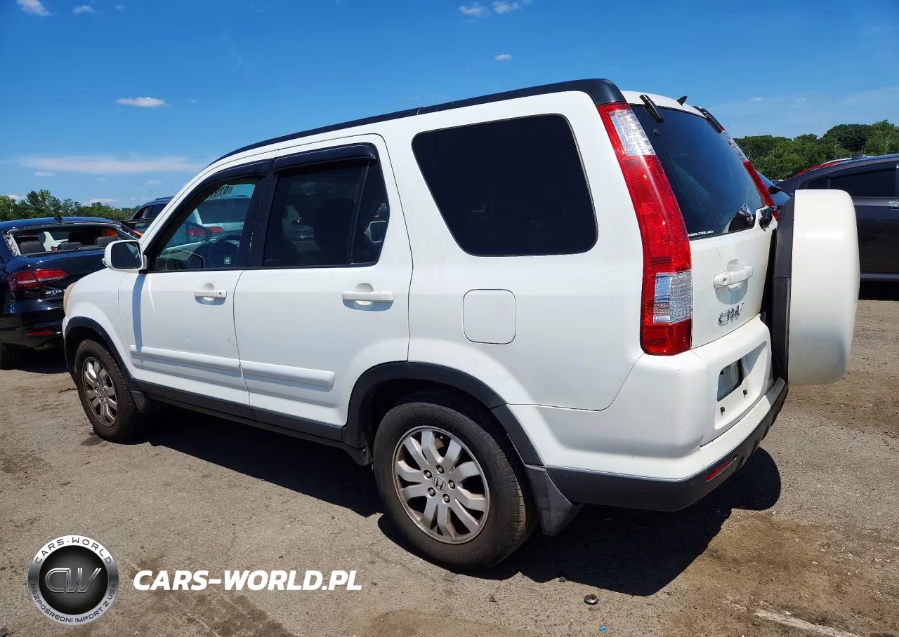 2005 Honda Cr-V Se VIN:SHSRD78955U336395 - 2