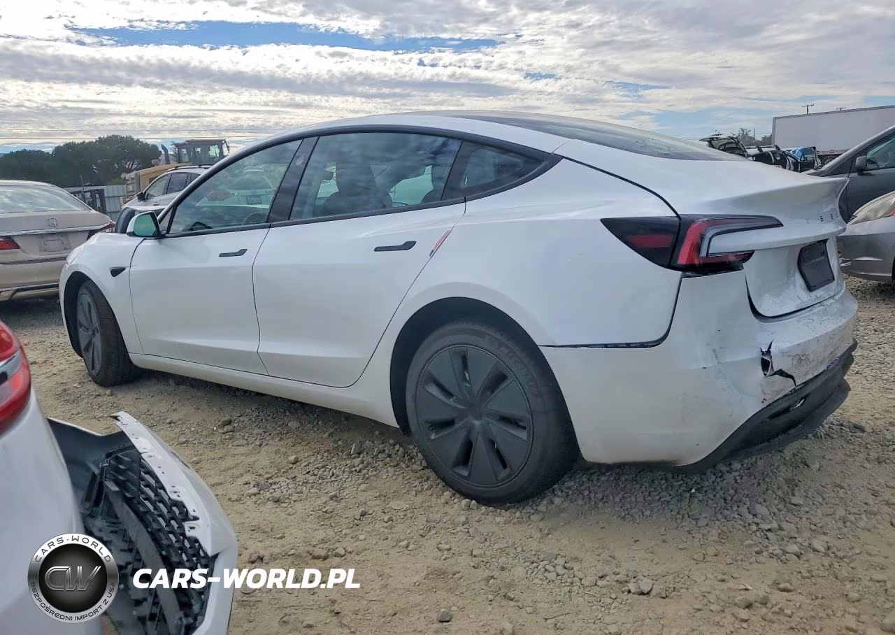 2025 Tesla Model 3 VIN:5YJ3E1EA9SF078951 - 2