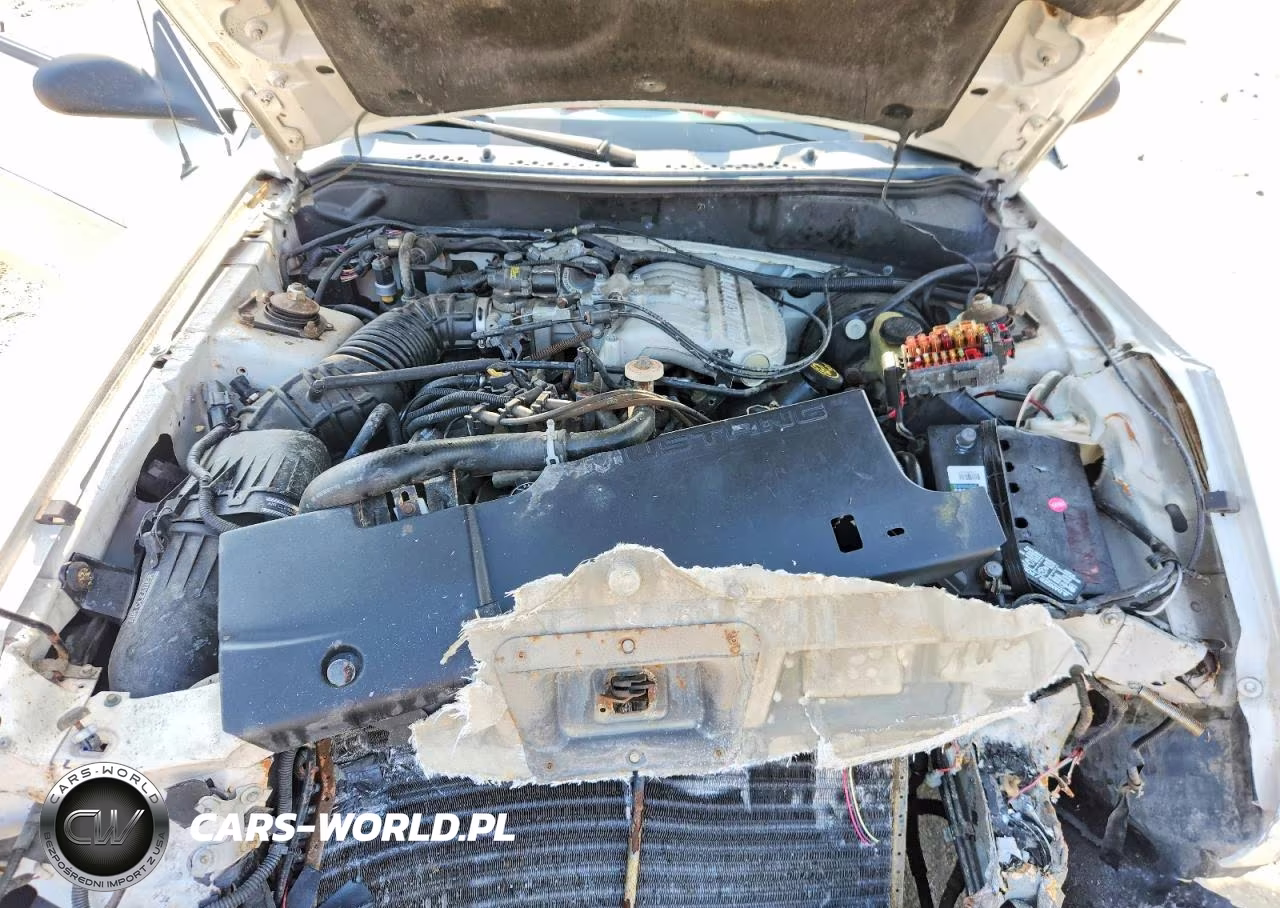 1995 Ford Mustang VIN:1FALP4443SF192968 - 11