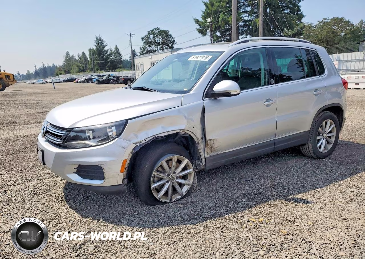 2017 Volkswagen Tiguan Wolfsburg