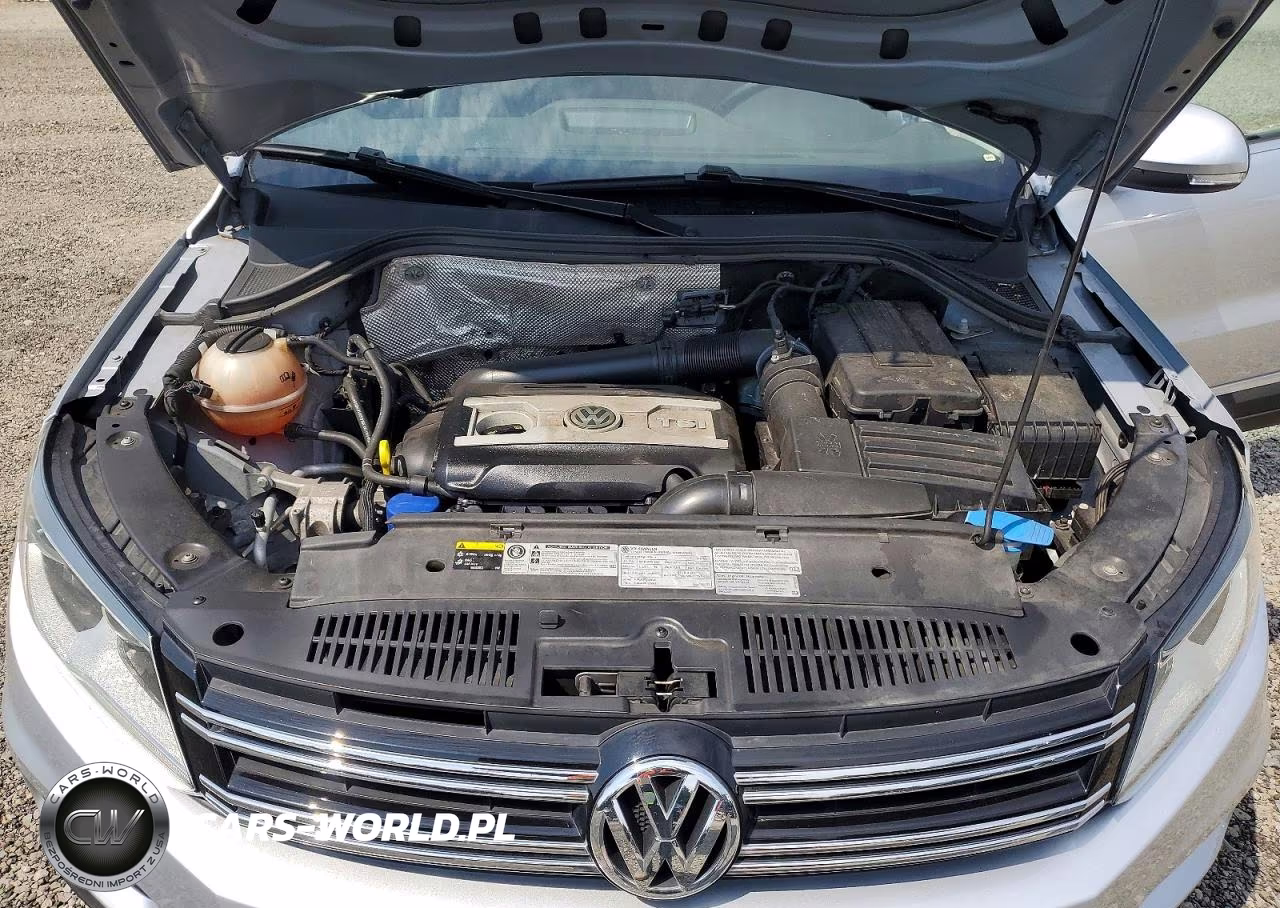 2017 Volkswagen Tiguan Wolfsburg VIN:WVGSV7AX3HW513519 - 12