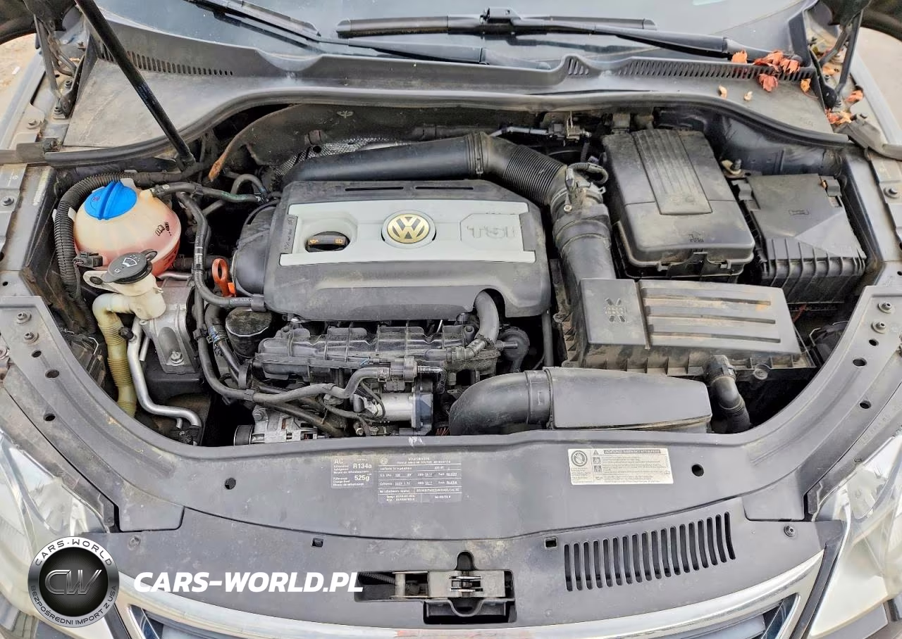 2011 Volkswagen Eos Komfort VIN:WVWBW7AH9BV005045 - 11