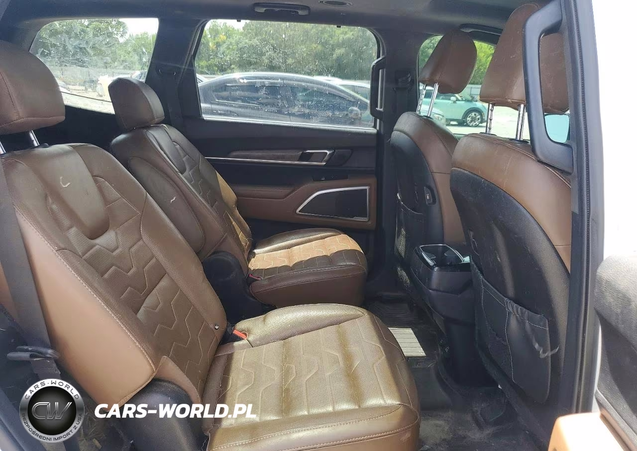 2020 Kia Telluride Sx VIN:5XYP5DHC0LG052166 - 11