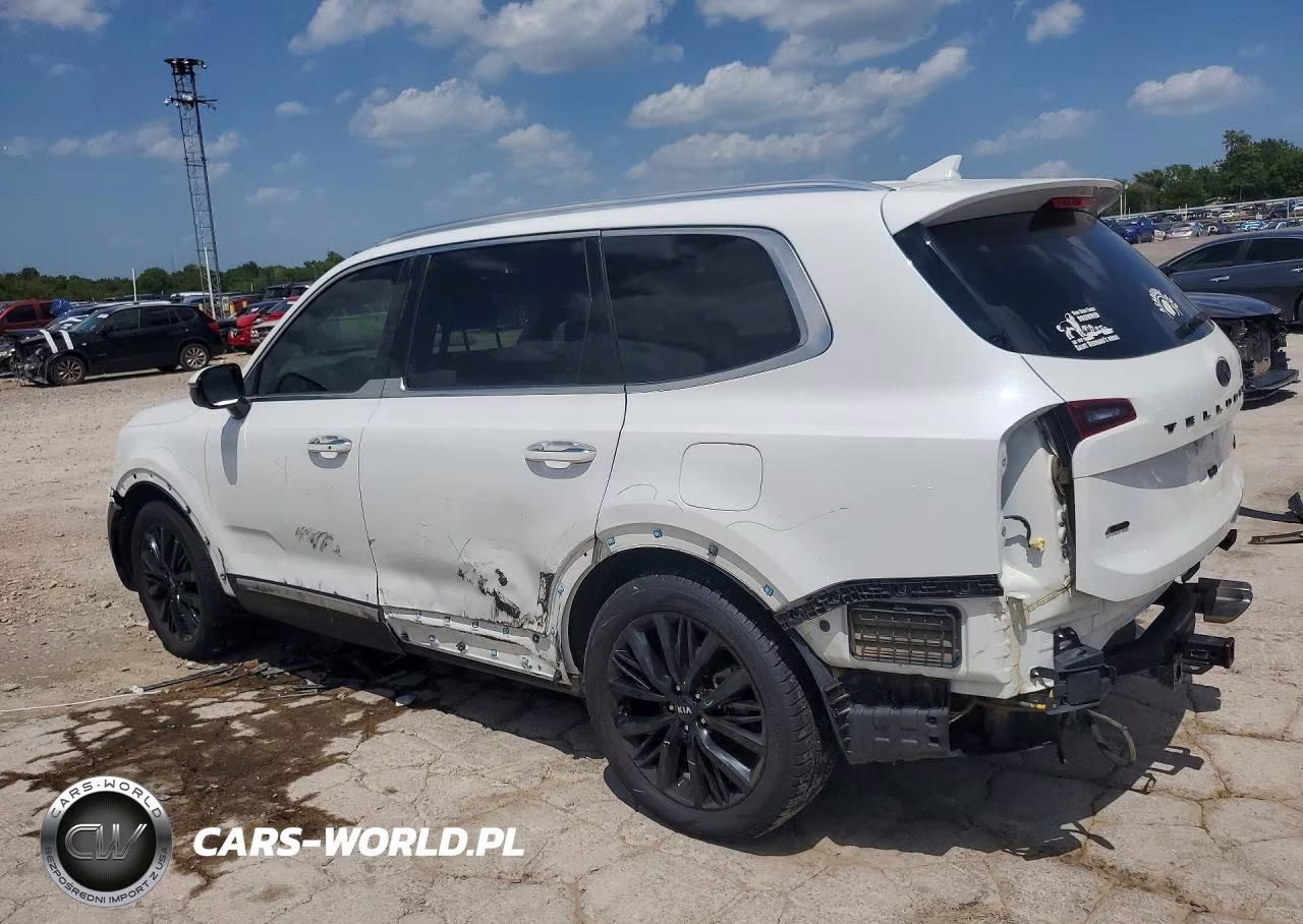 2020 Kia Telluride Sx VIN:5XYP5DHC0LG052166 - 2