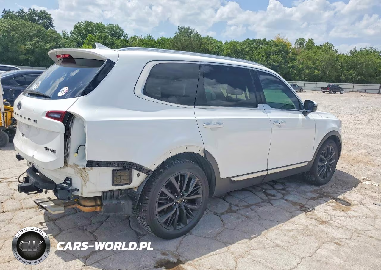 2020 Kia Telluride Sx VIN:5XYP5DHC0LG052166 - 3