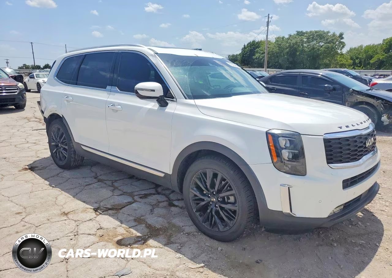 2020 Kia Telluride Sx VIN:5XYP5DHC0LG052166 - 4