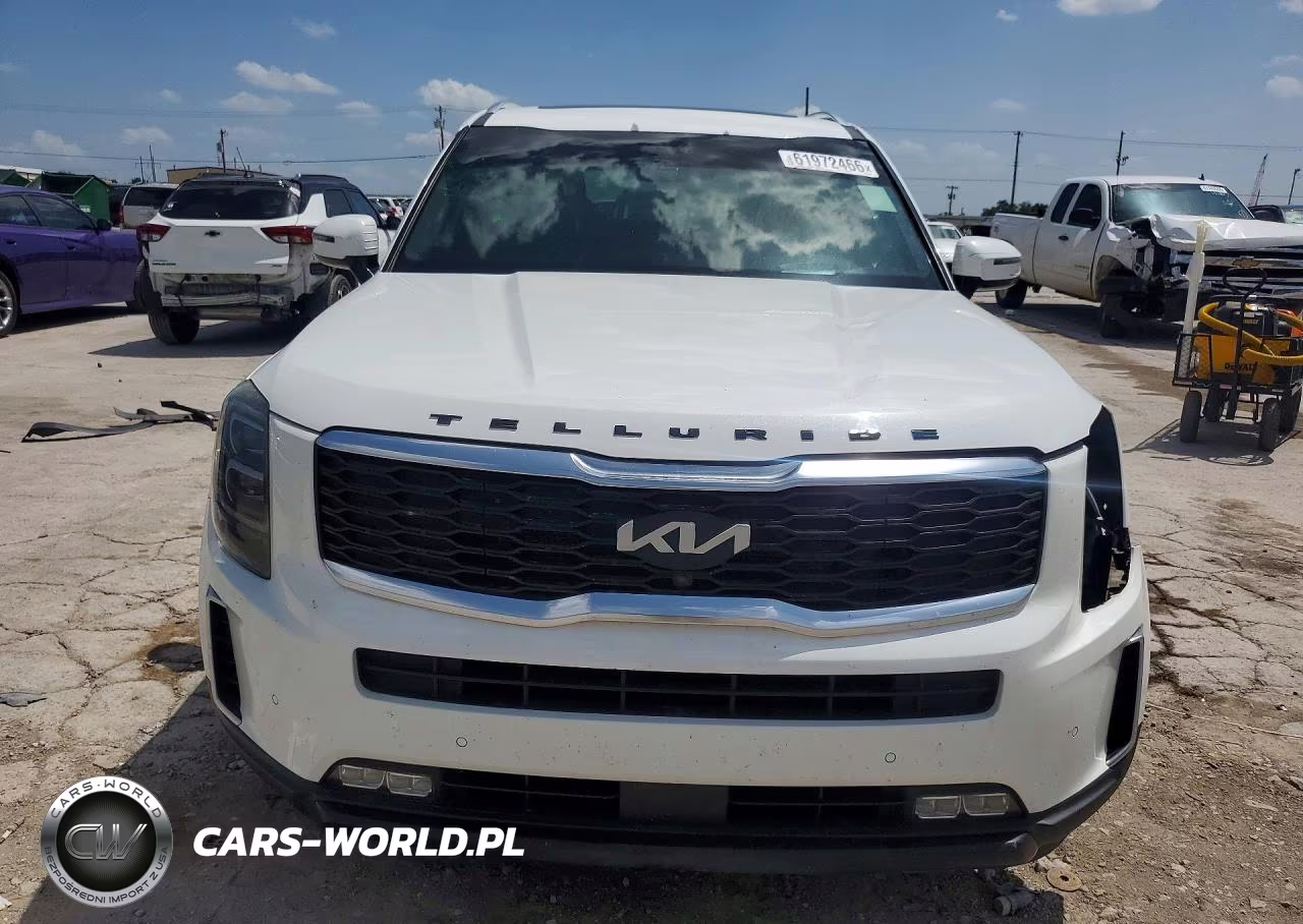 2020 Kia Telluride Sx VIN:5XYP5DHC0LG052166 - 5
