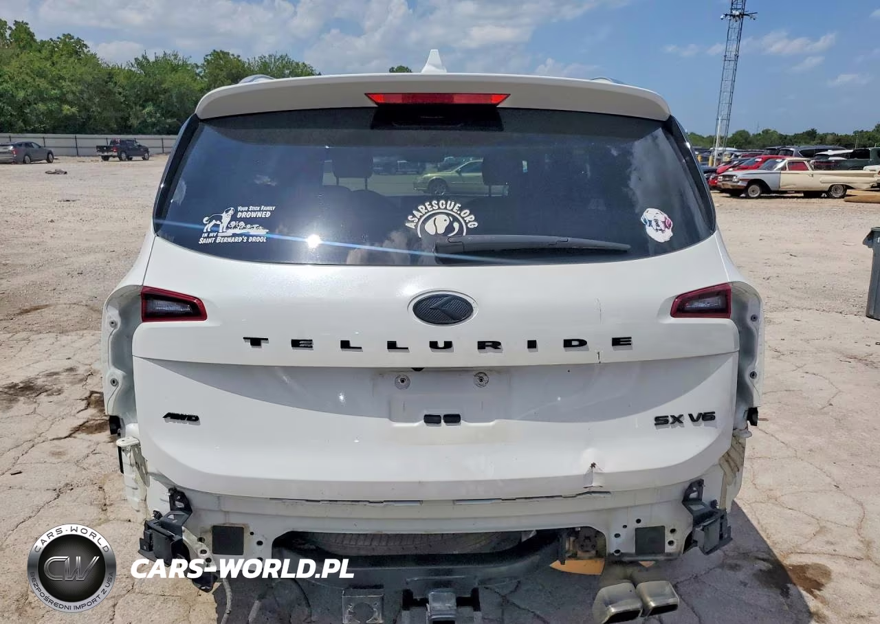 2020 Kia Telluride Sx VIN:5XYP5DHC0LG052166 - 6