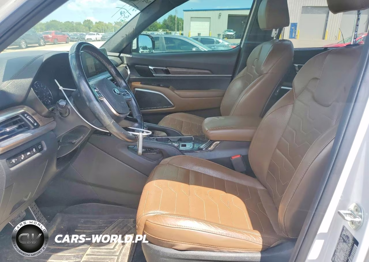 2020 Kia Telluride Sx VIN:5XYP5DHC0LG052166 - 7