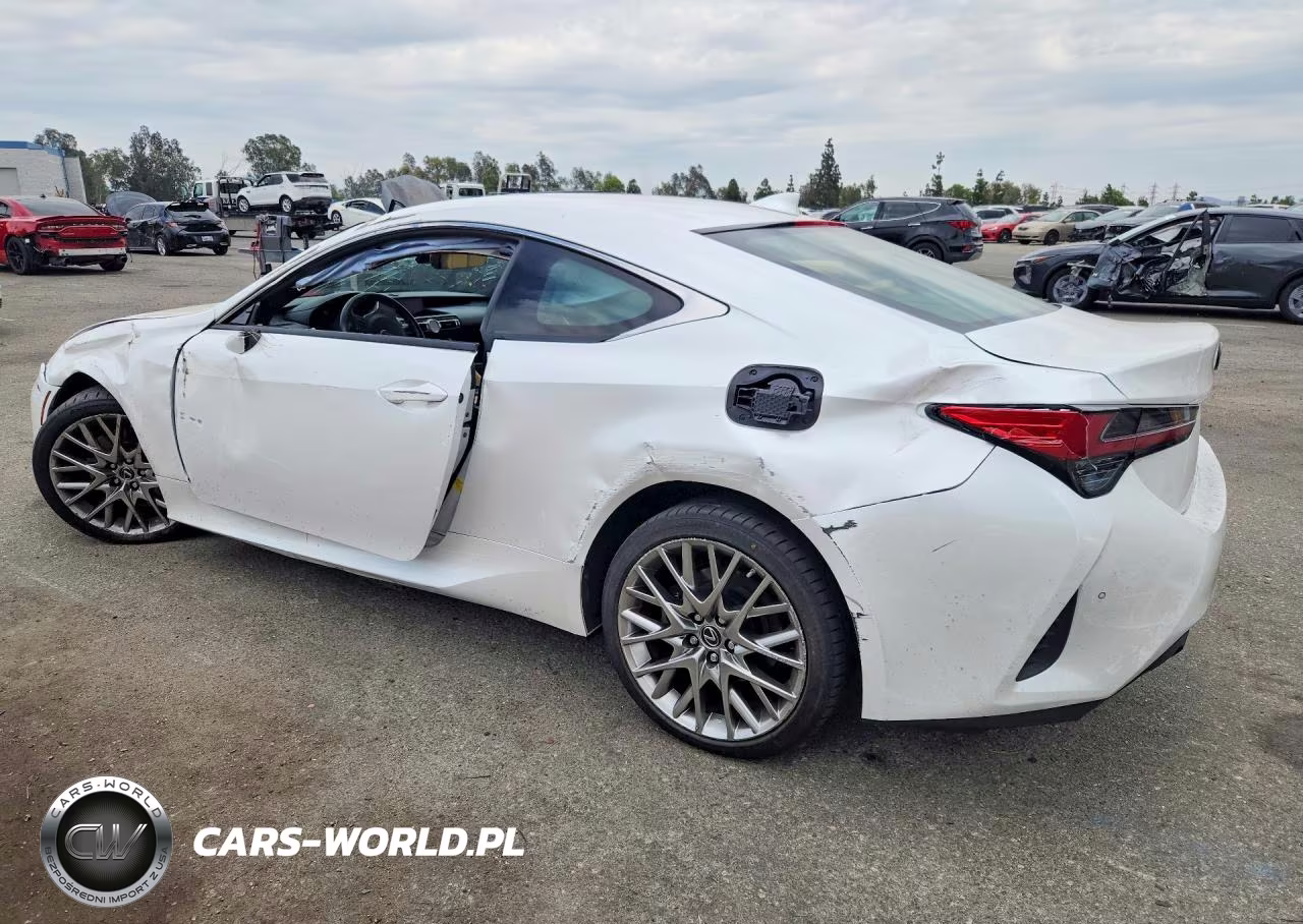 2019 Lexus Rc VIN:JTHHZ5BC3K5019482 - 2