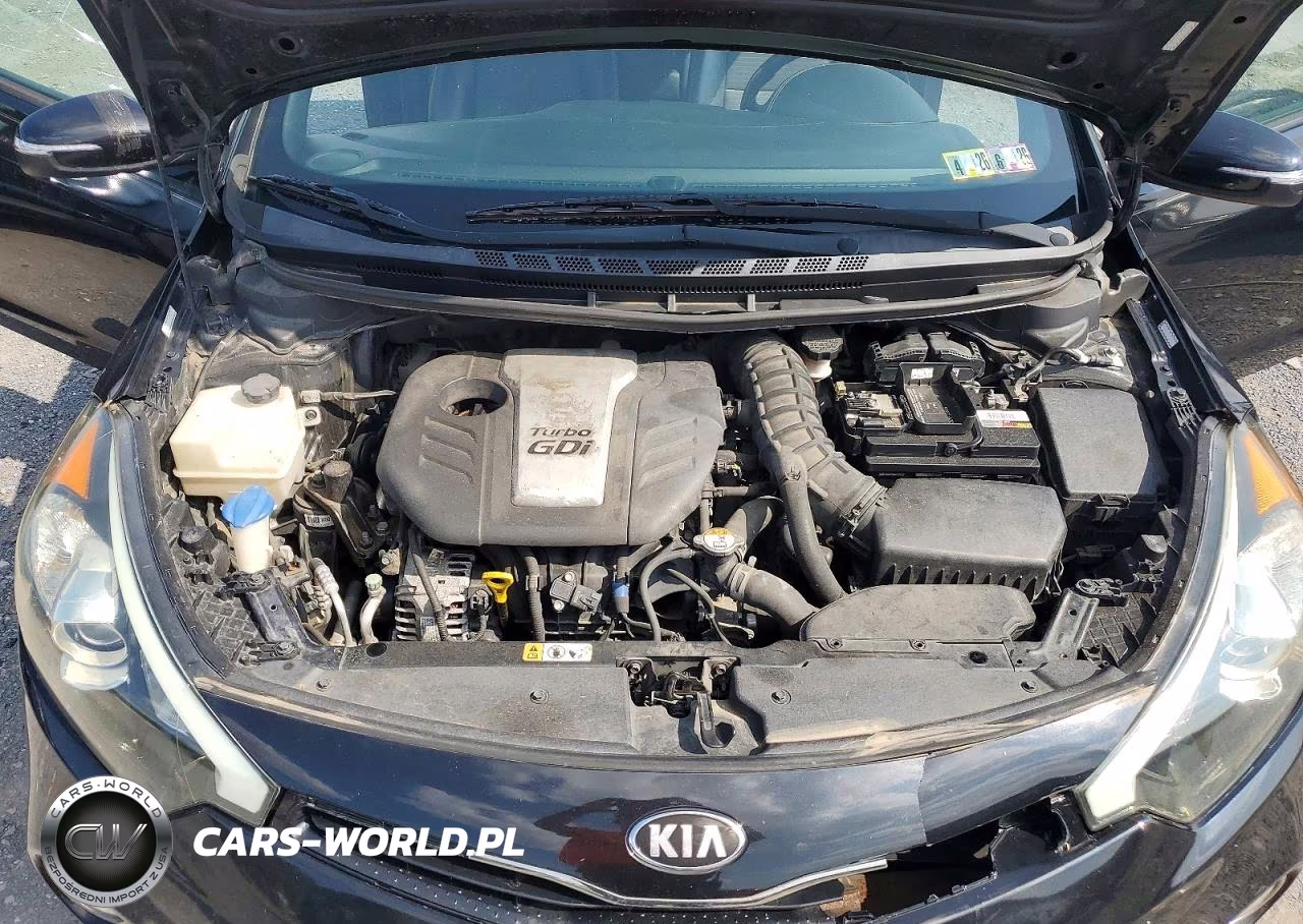 2016 Kia Forte Koup Sx VIN:KNAFZ6A3XG5580508 - 11