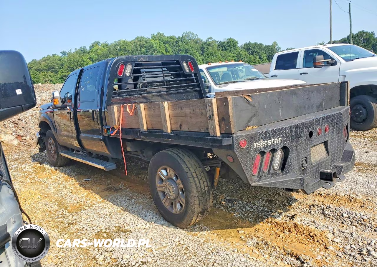 2013 Ford F350 Super Duty VIN:1FT8W3BT3DEA21850 - 2