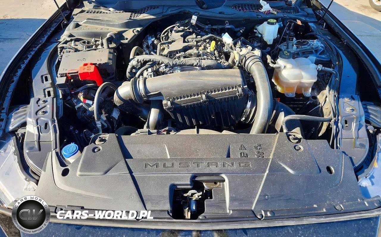 2025 Ford Mustang VIN:1FA6P8TH9S5109395 - 11