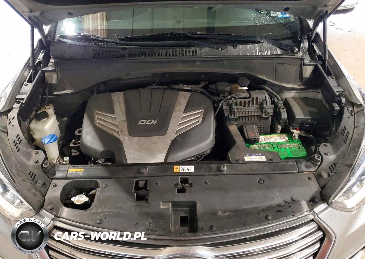 2017 Hyundai Santa Fe Se Ultimate VIN:KM8SR4HF4HU218246 - 12