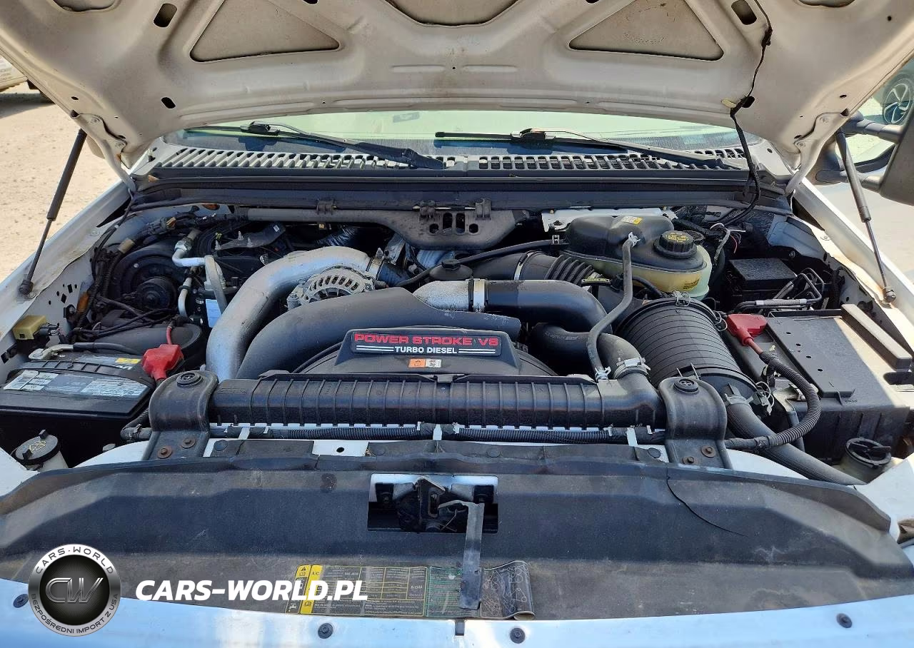 2005 Ford F250 Super Duty VIN:1FTSW21P85EB10593 - 11