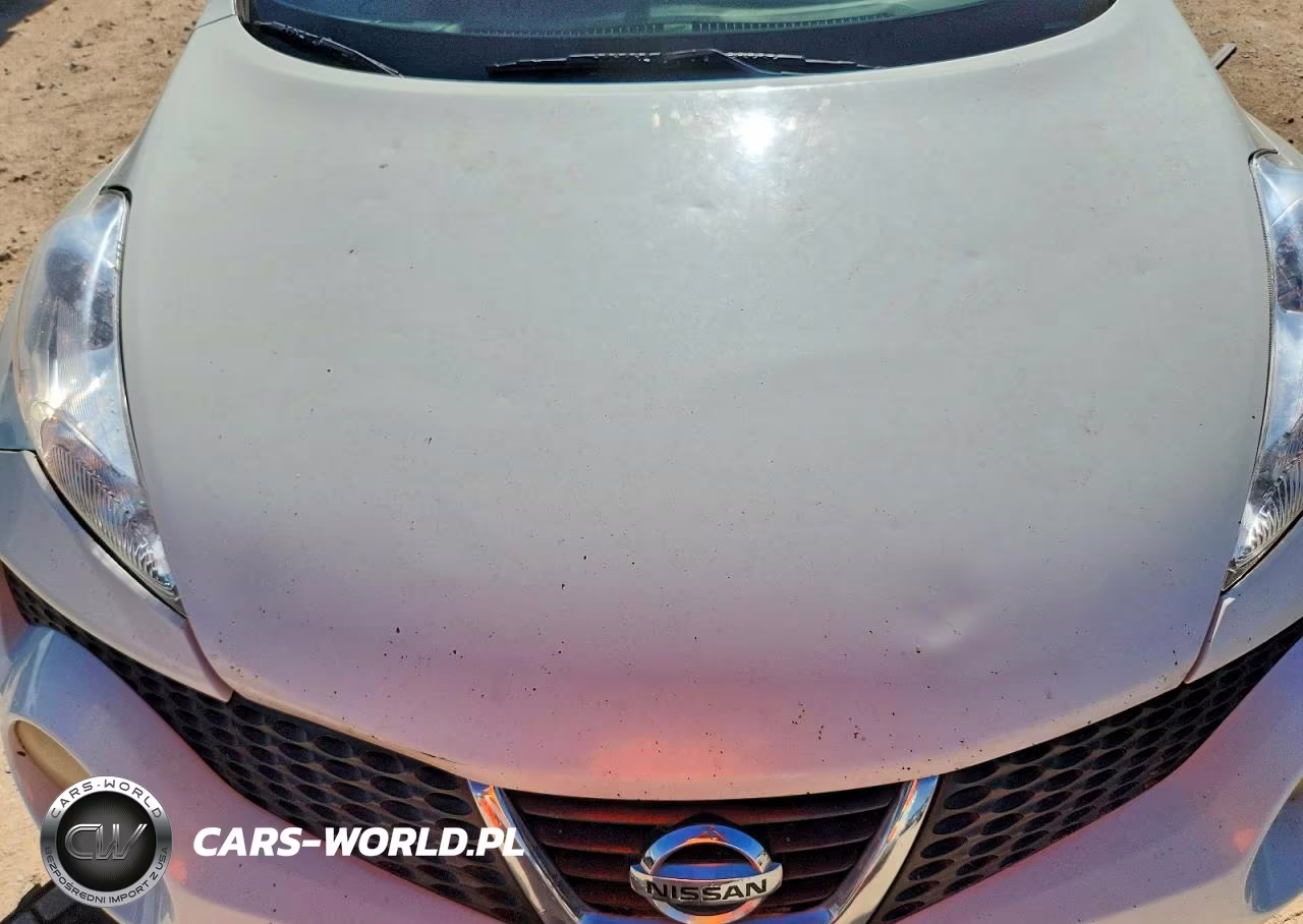 2011 Nissan Juke S VIN:JN8AF5MR1BT023110 - 11