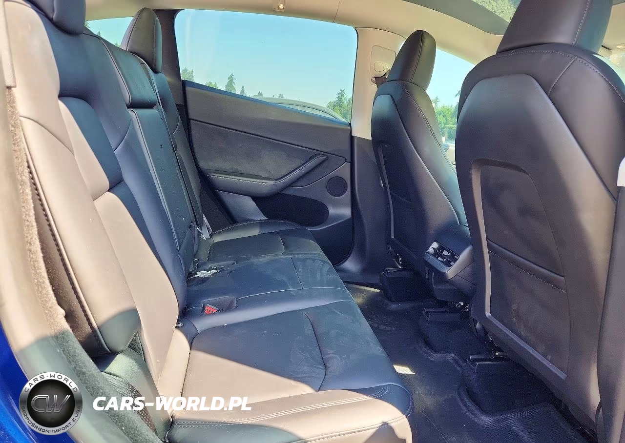 2023 Tesla Model Y VIN:7SAYGDEF6PF917574 - 10