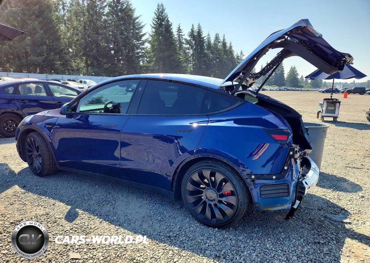 2023 Tesla Model Y VIN:7SAYGDEF6PF917574 - 2