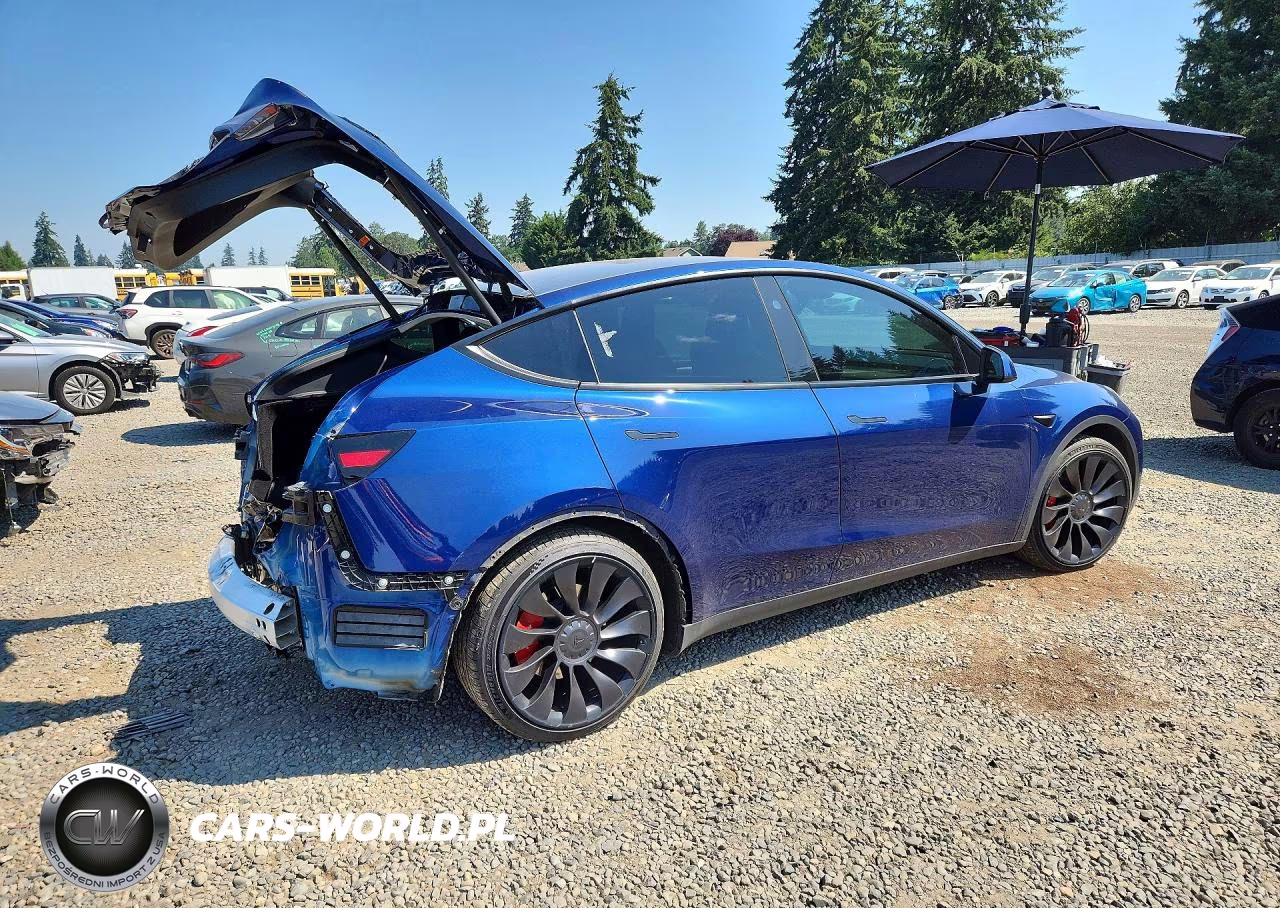 2023 Tesla Model Y VIN:7SAYGDEF6PF917574 - 3