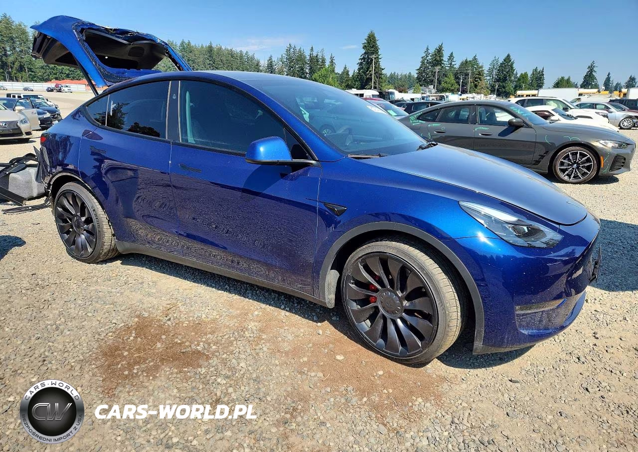 2023 Tesla Model Y VIN:7SAYGDEF6PF917574 - 4