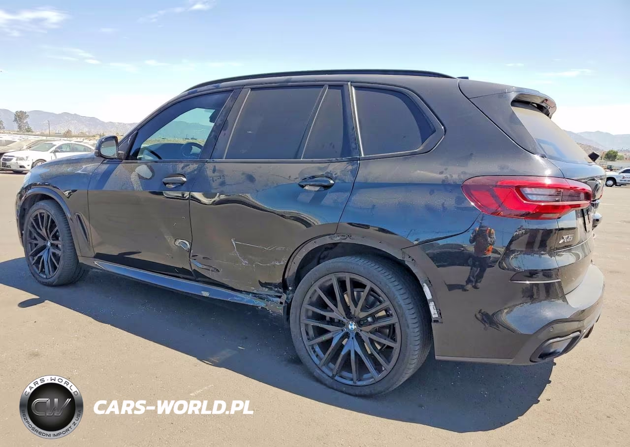 2023 BMW X5 Sdrive 40I VIN:5UXCR4C07P9S07124 - 2