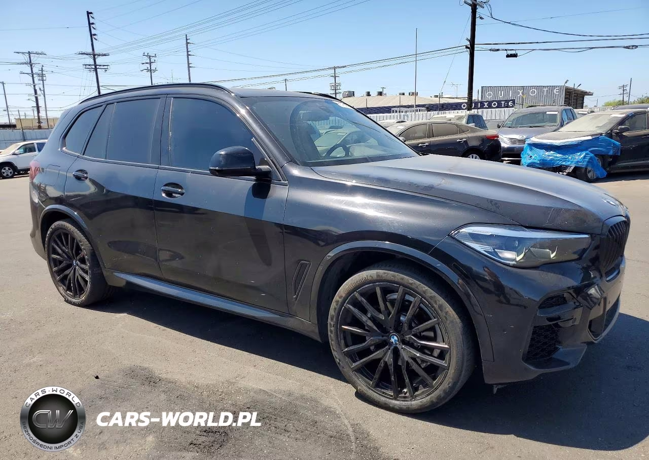 2023 BMW X5 Sdrive 40I VIN:5UXCR4C07P9S07124 - 4