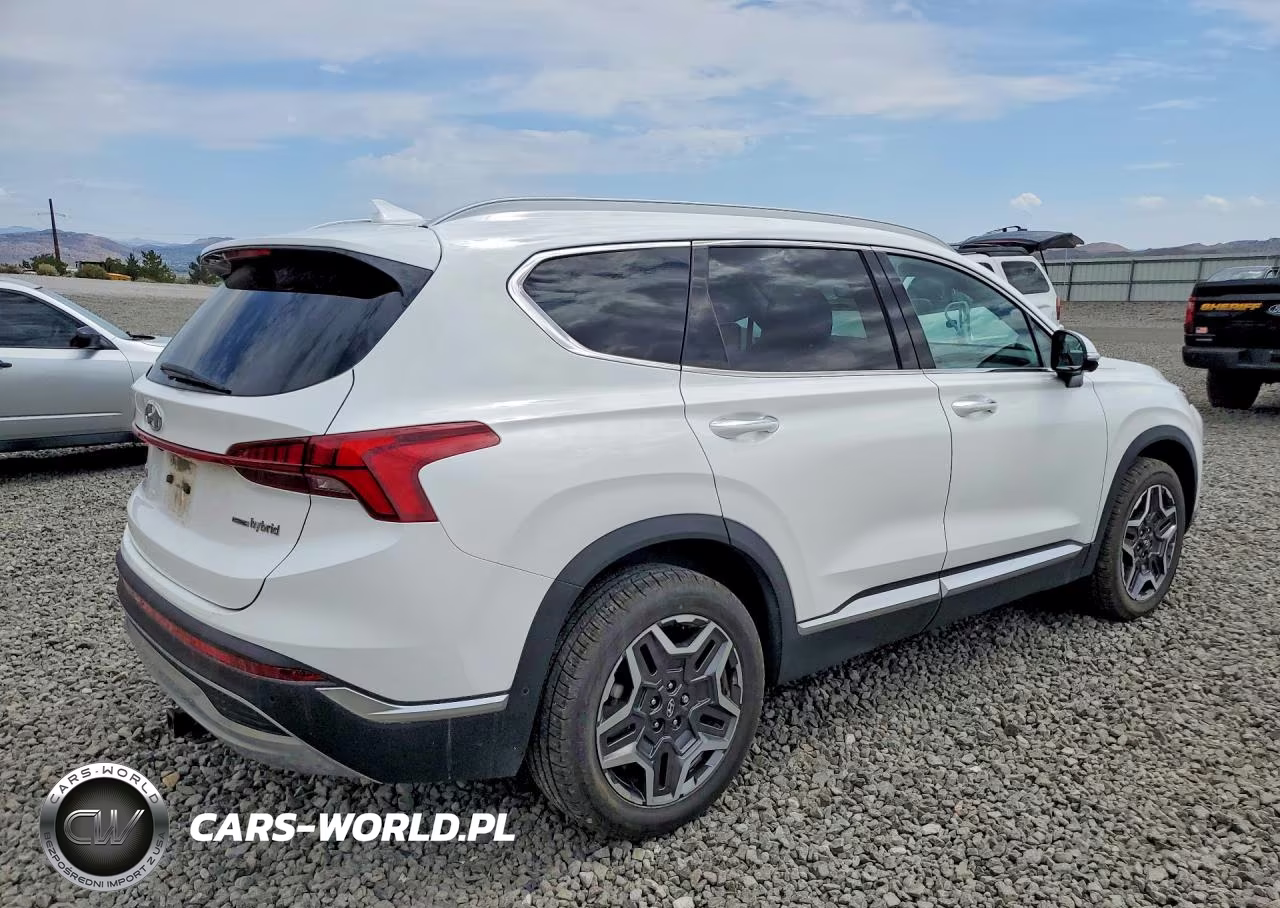 2021 Hyundai Santa Fe Limited VIN:KM8S5DA19MU008519 - 3