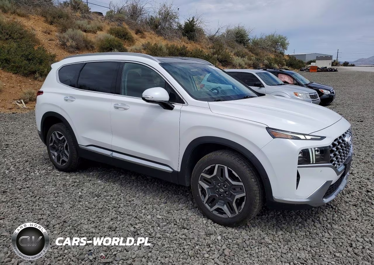 2021 Hyundai Santa Fe Limited VIN:KM8S5DA19MU008519 - 4