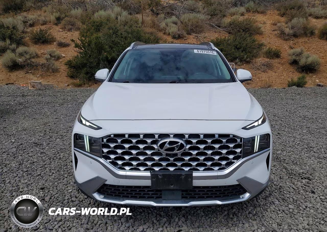2021 Hyundai Santa Fe Limited VIN:KM8S5DA19MU008519 - 5