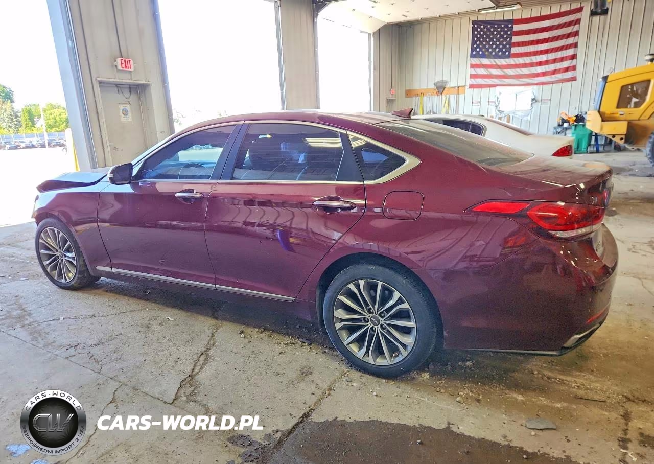 2016 Hyundai Genesis 3.8L VIN:KMHGN4JE2GU127719 - 2