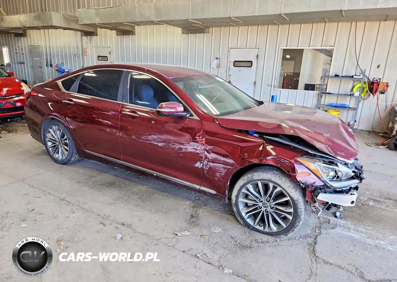 2016 Hyundai Genesis 3.8L VIN:KMHGN4JE2GU127719 - 4