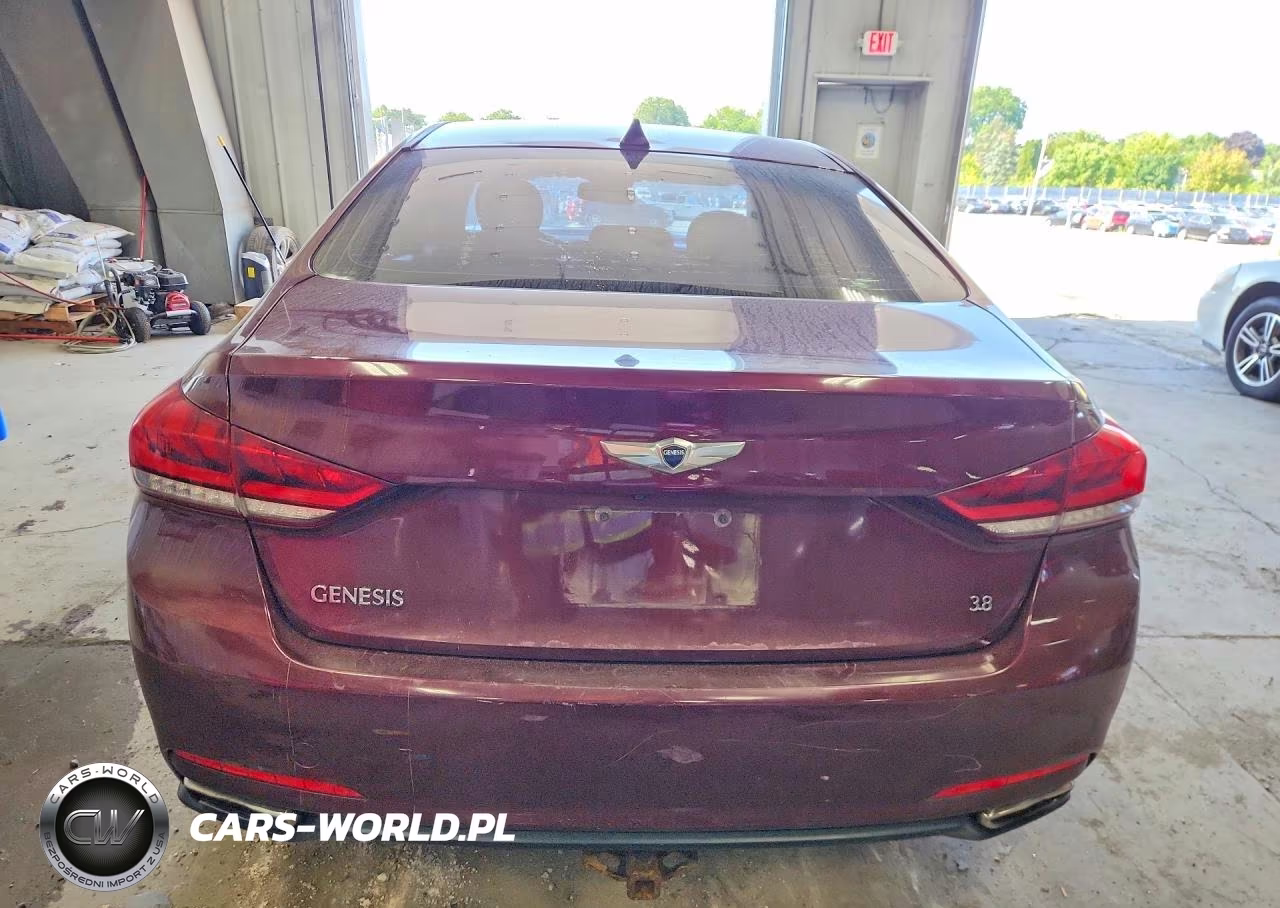 2016 Hyundai Genesis 3.8L VIN:KMHGN4JE2GU127719 - 6