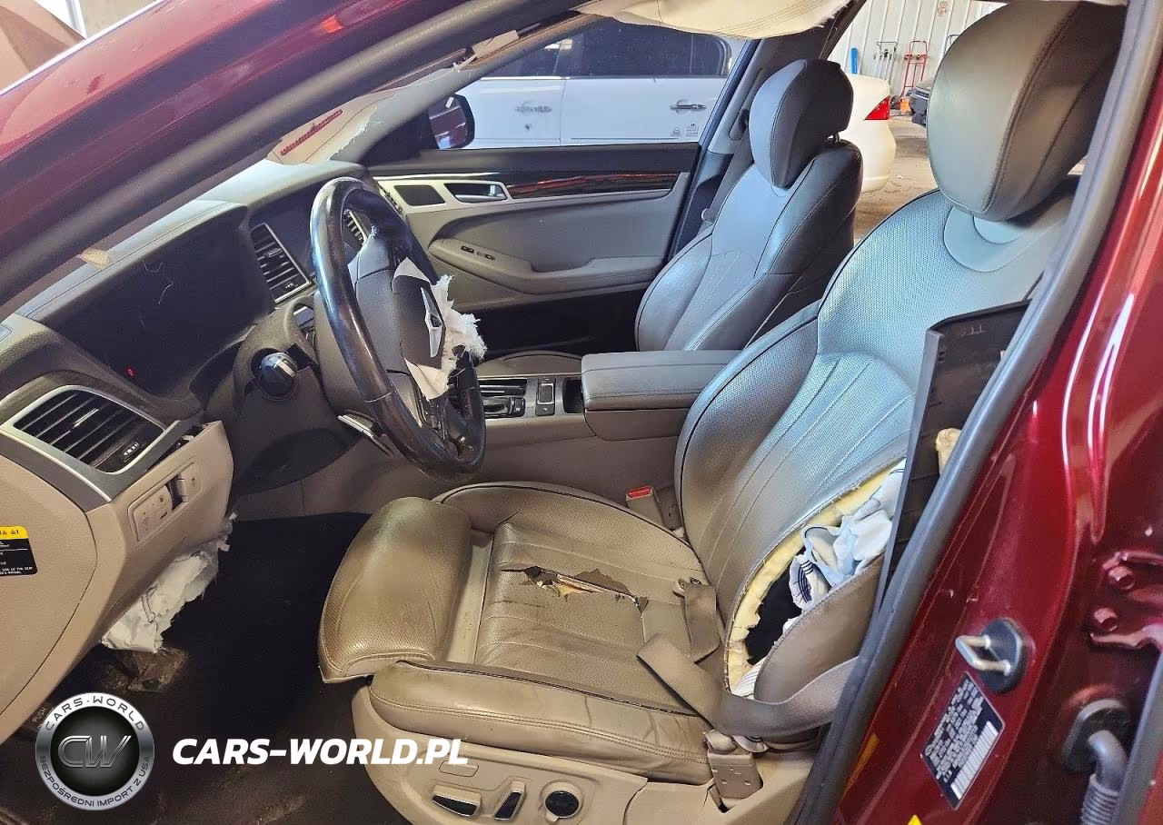2016 Hyundai Genesis 3.8L VIN:KMHGN4JE2GU127719 - 7