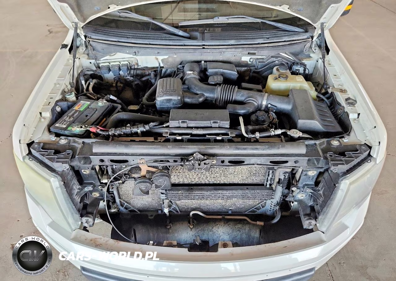 2010 Ford F150 Supercrew VIN:1FTFW1EV2AFB72614 - 11