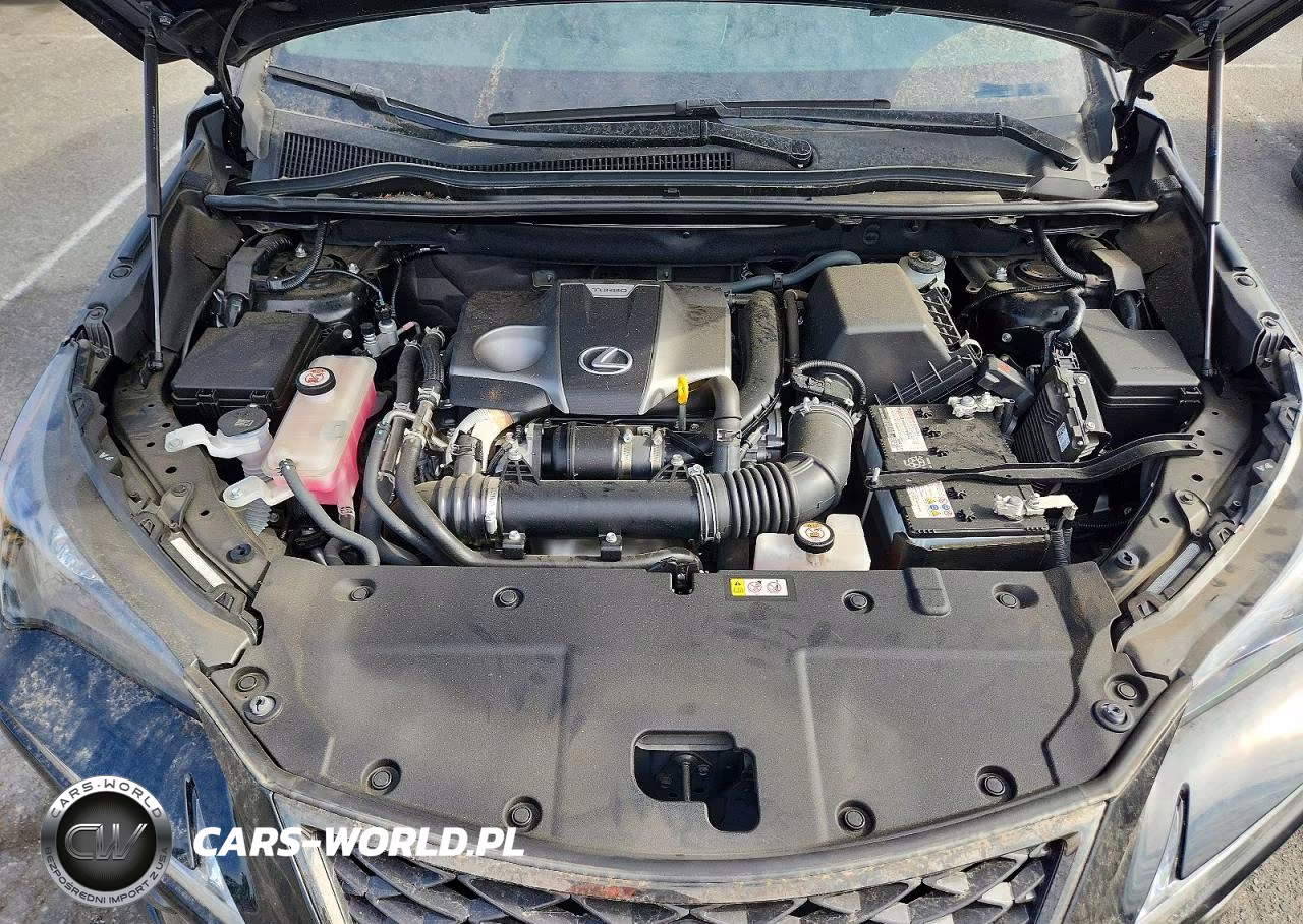 2021 Lexus Nx 300 F Sport VIN:JTJSARBZ5M2187751 - 11