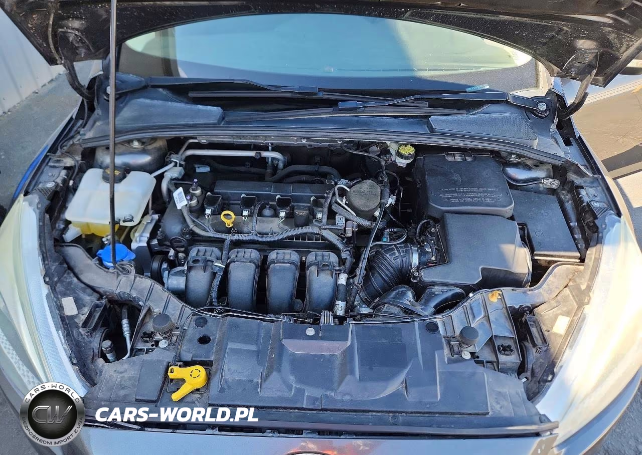 2016 Ford Focus Se VIN:1FADP3F21GL263197 - 11