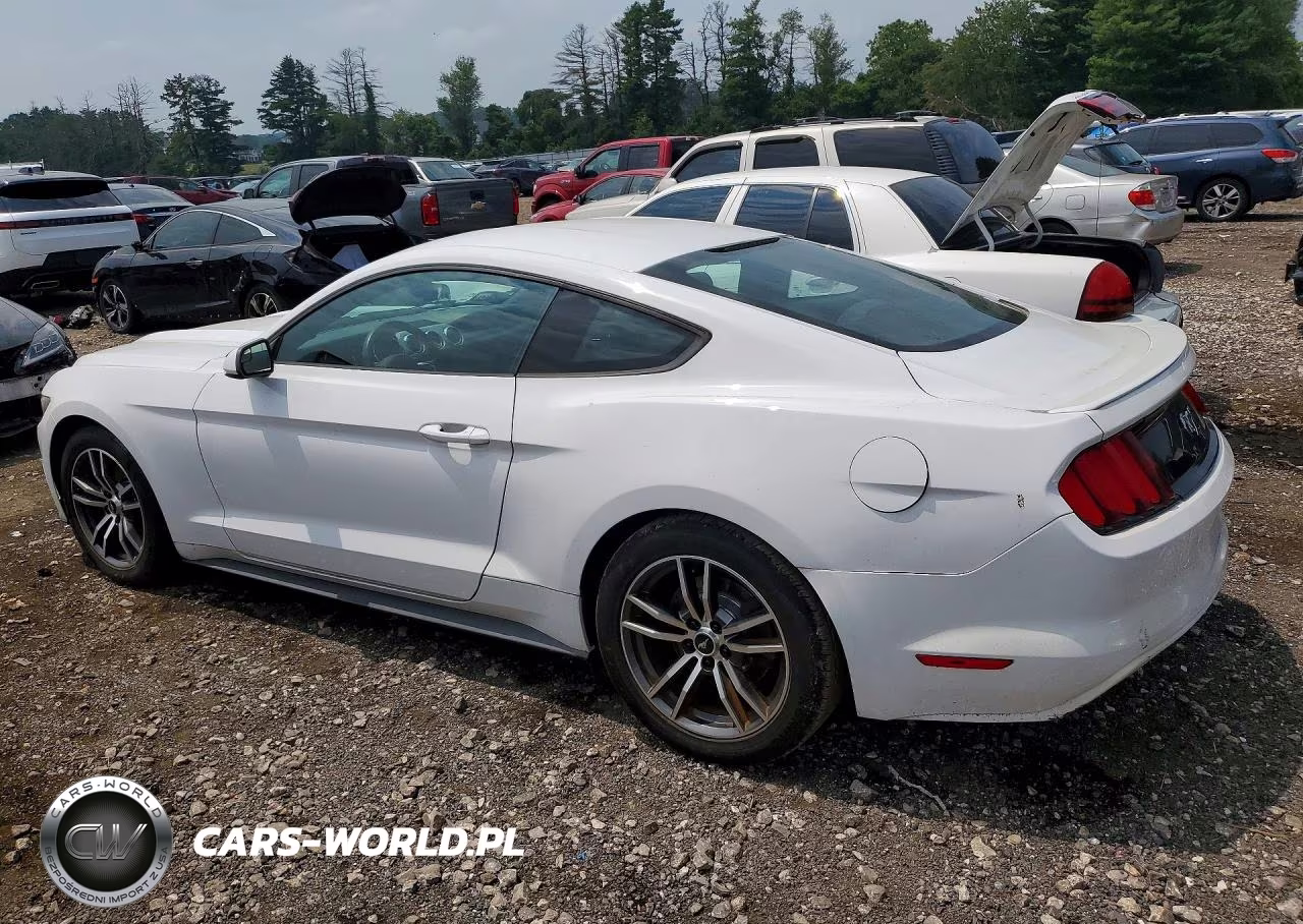 2017 Ford Mustang VIN:1FA6P8TH1H5256223 - 2