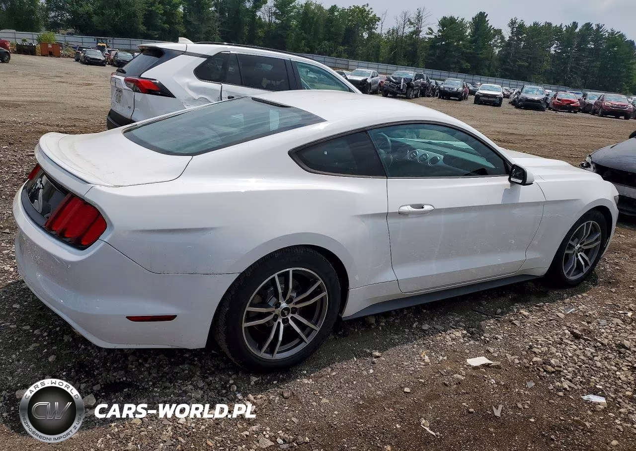 2017 Ford Mustang VIN:1FA6P8TH1H5256223 - 3