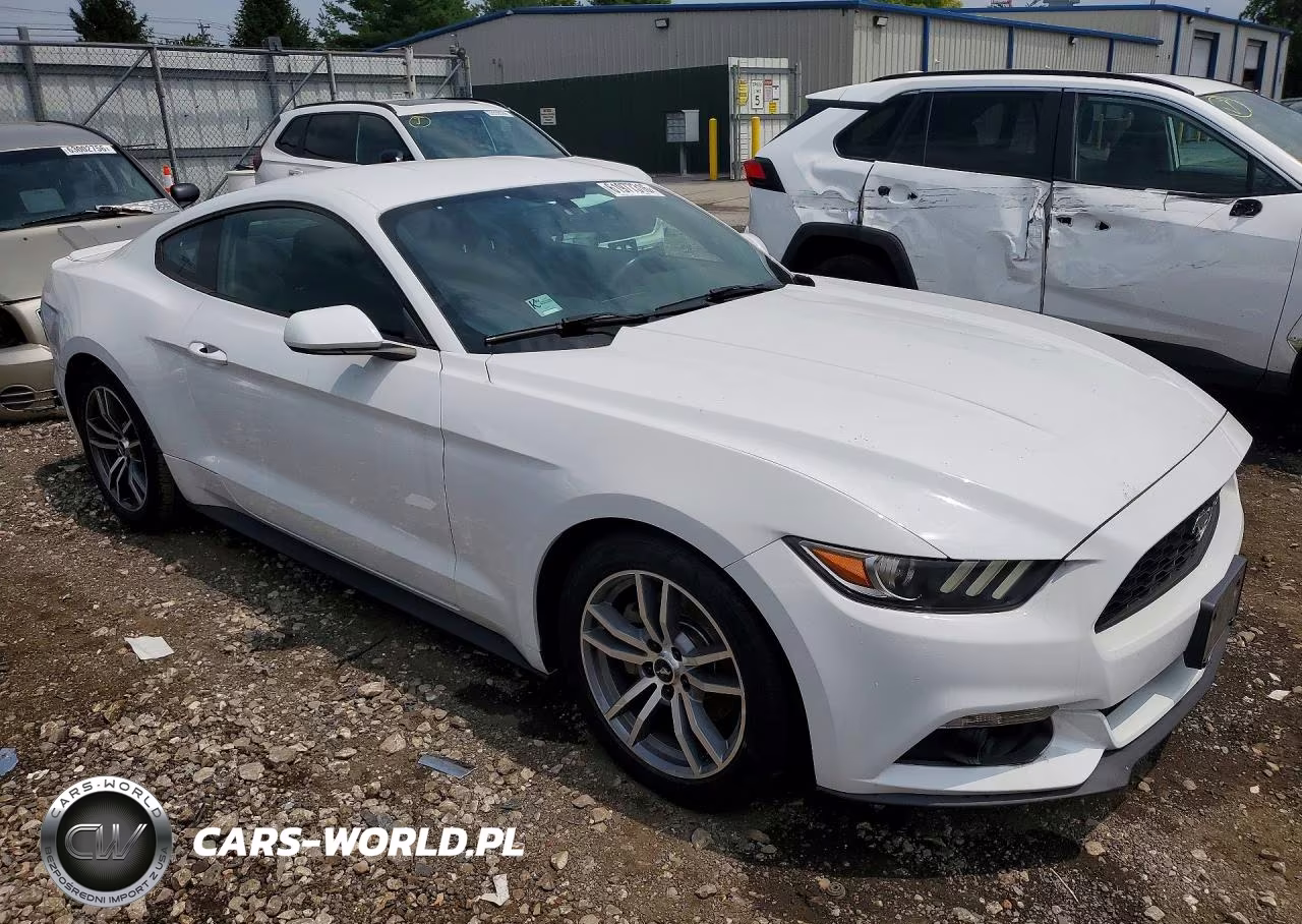 2017 Ford Mustang VIN:1FA6P8TH1H5256223 - 4